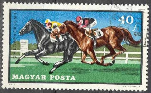 Hungria 1971 Scott 2097 Sello º Deportes Ecuestres Caballos Galopando Hongrie Magyar Posta Ungarn Hungary Ungheria Hongarije Mi.2703 Yv.2192 